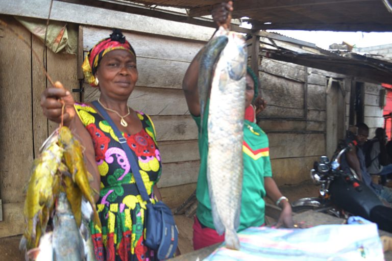 Fishmongers in the Ndji village market get by with very little. Image by Yannick Kenné.