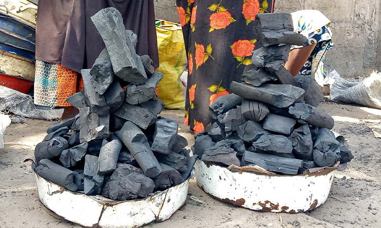 Charcoal sold by women in the N’Djamena markets.