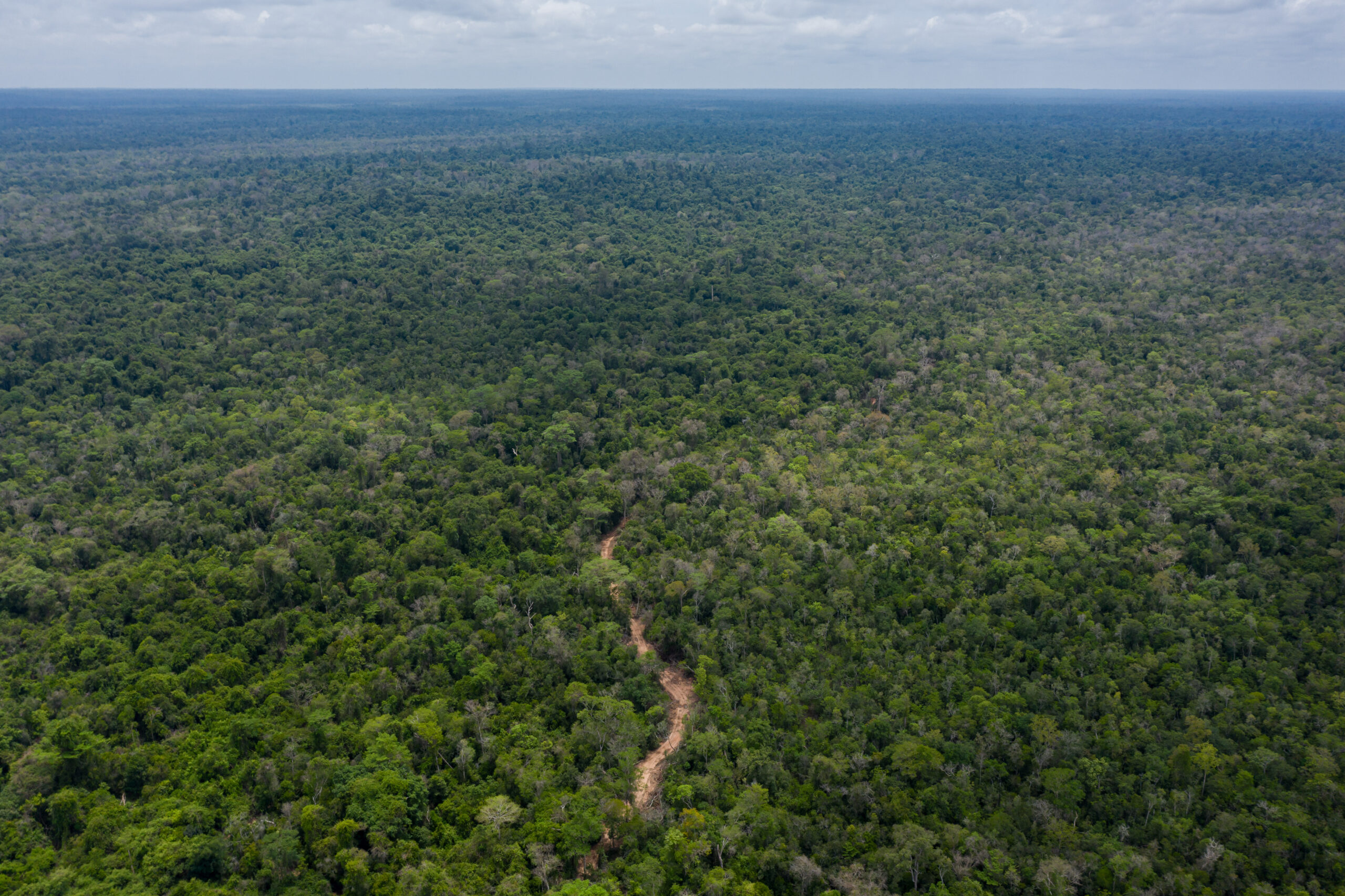 An aerial view of the new road linking Think Biotech to Prey Lang Wildlife Sanctuary taken in May 2023. Image by Andy Ball / Mongabay.