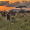 Evans, a ranger for the REDD+ project Wildlife Works in Kenya's Kasigau Corridor.