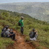 Surveying Grand Bois National Park.