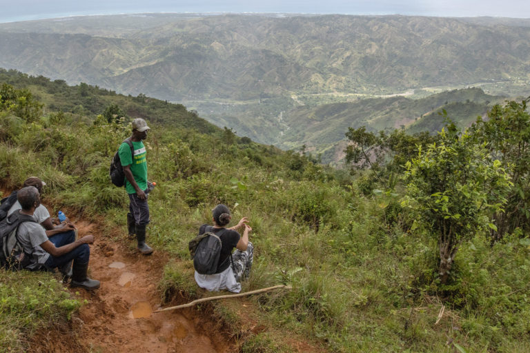 Surveying Grand Bois National Park.