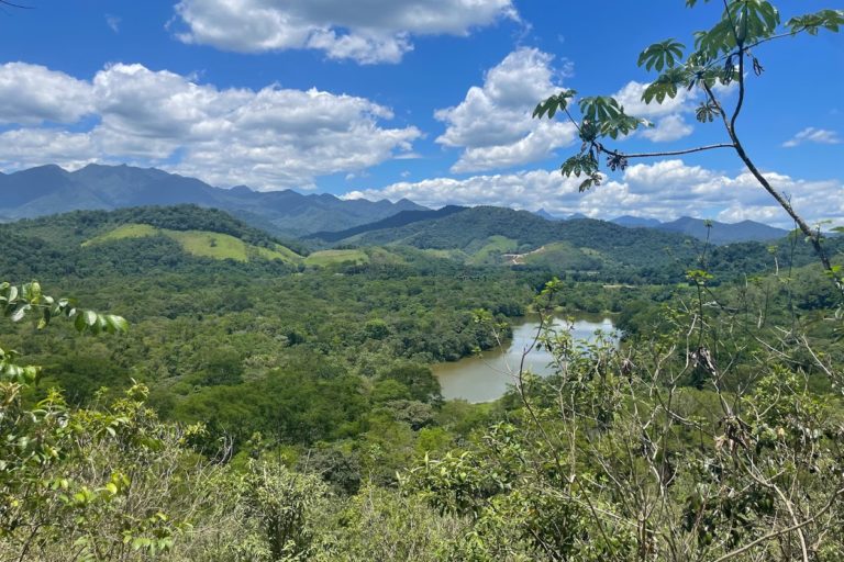 Guapiaçu River Basin forest.
