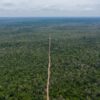 An aerial view of a new road that leads from Think Biotech’s concession into the Prey Lang Wildlife Sanctuary where illegal logging is taking place. Image by Andy Ball / Mongabay.