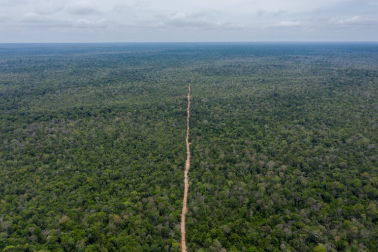 An aerial view of a new road that leads from Think Biotech’s concession into the Prey Lang Wildlife Sanctuary where illegal logging is taking place. Image by Andy Ball / Mongabay.