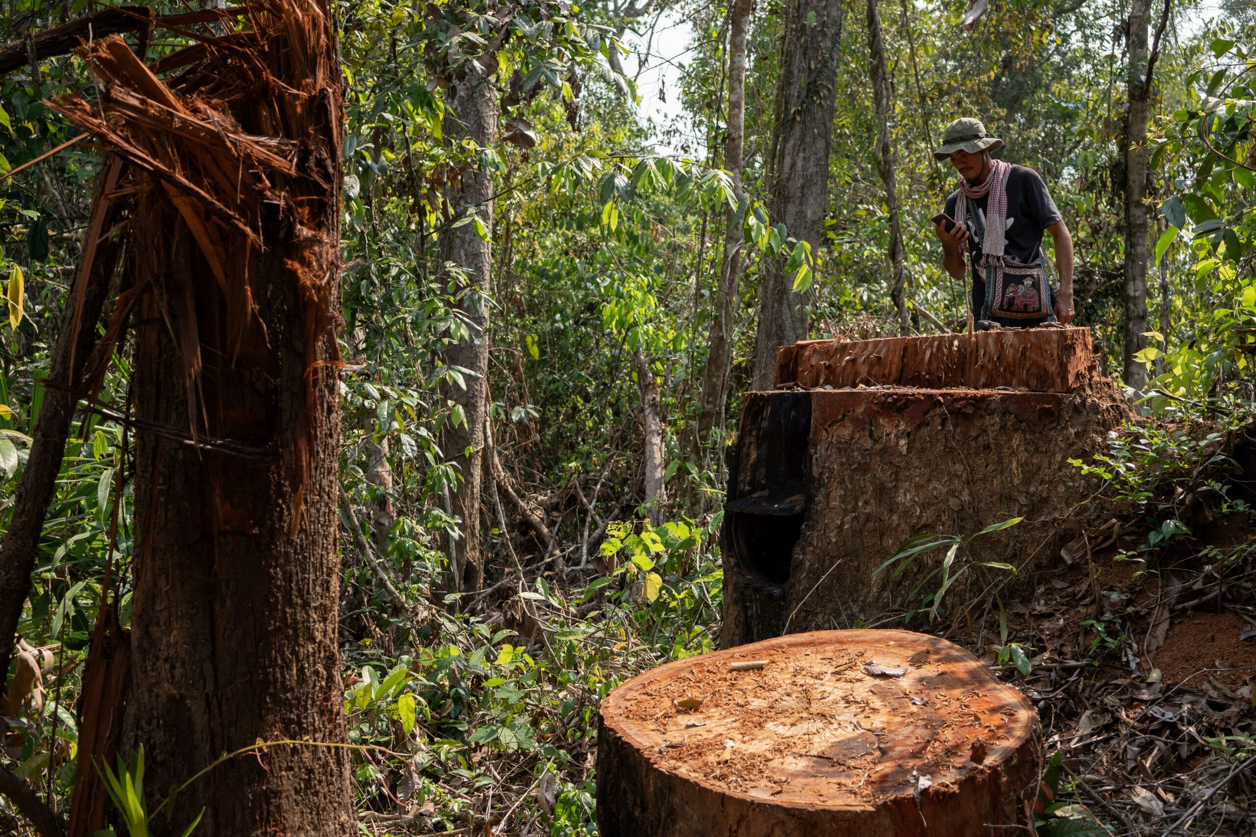 For those who frequently go out on patrol in a bid to defend the protected forest, there is a sense that they are more of a target for government rangers than the loggers committing the forest crimes. Image by Andy Ball / Mongabay.