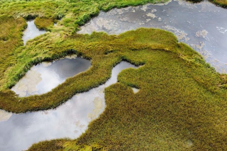 Drone view of salt marsh complex, Parker River National Wildlife Refuge, Massachusetts. Image by Erik Hoffner for Mongabay.