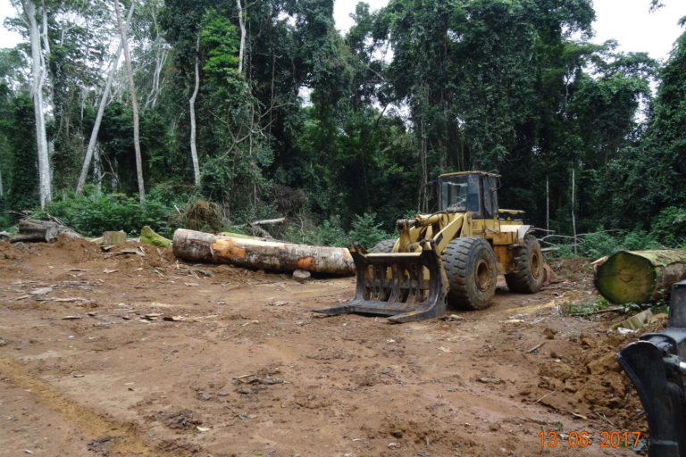 Front-end loader in a raw clearing in forests in Sudcam's concession near Cameroon's Dja Faunal Reserve. Image courtesy Nchemty Metimi Ozongashu / Greenpeace.
