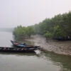 Fishing boats in the Sundarbans.