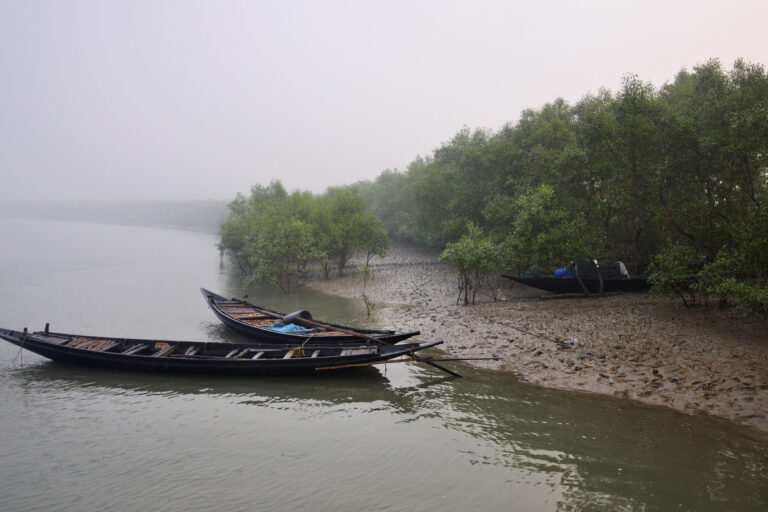 Fishing boats in the Sundarbans.