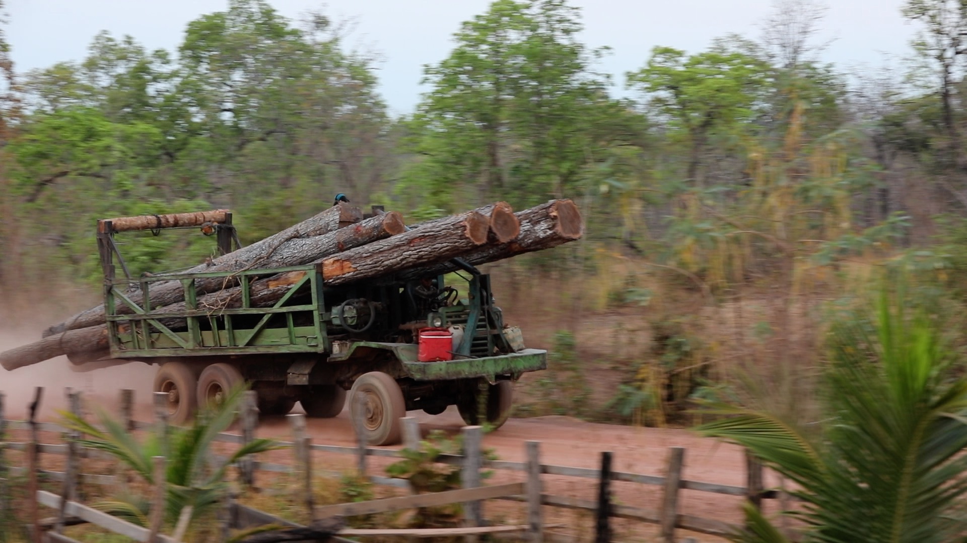 For years, environmental activists have reported incidents of illegal logging, but authorities have been unwilling or unable to protect Prey Lang Wildlife Sanctuary. This logging truck was seen transporting timber near Think Biotech's concession in 2020. Image by Ma Chettra.