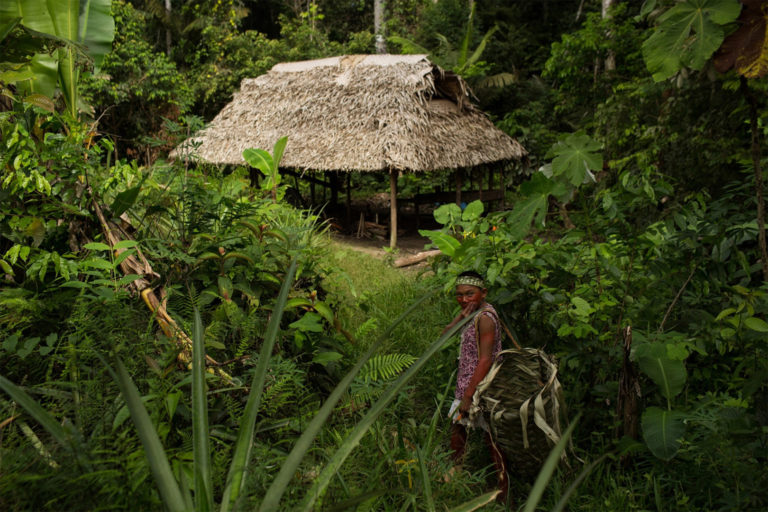 Kanamari Indigenous people carry out their work
