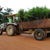 Tractor and trailer with oil palm seedlings on a Wilmar plantation in Cross River state, Nigeria. Image by Rettet van Regenwald via Flickr (CC BY--NC-ND 2.0)