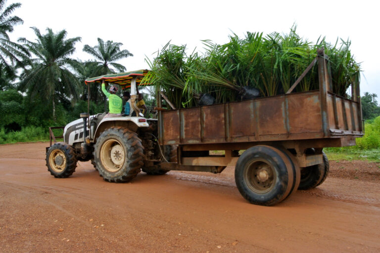Tractor and trailer with oil palm seedlings on a Wilmar plantation in Cross River state, Nigeria. Image by Rettet van Regenwald via Flickr (CC BY--NC-ND 2.0)