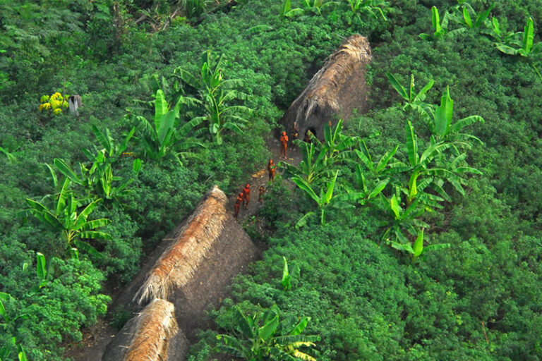 An uncontacted Indigenous community in Acre, Brazil.