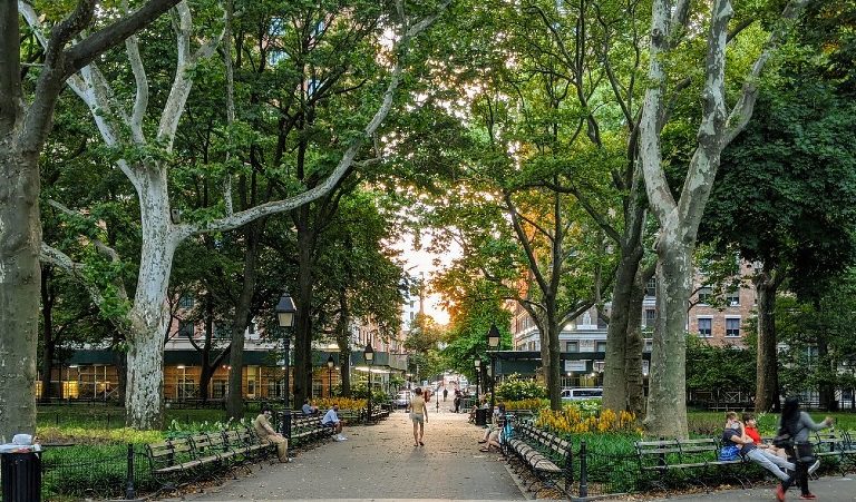 Washington Square Park is another place to see birds in NYC.