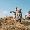 Farmers harvesting wheat in Ukraine in the 1990s.