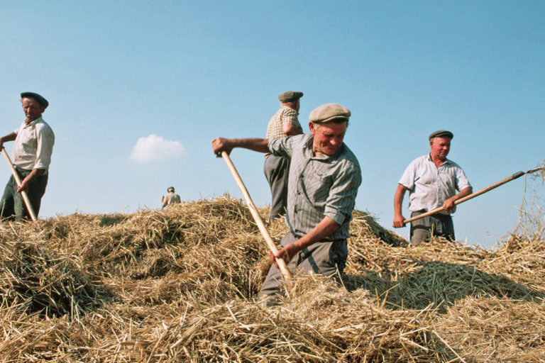 Farmers harvesting wheat in Ukraine in the 1990s.