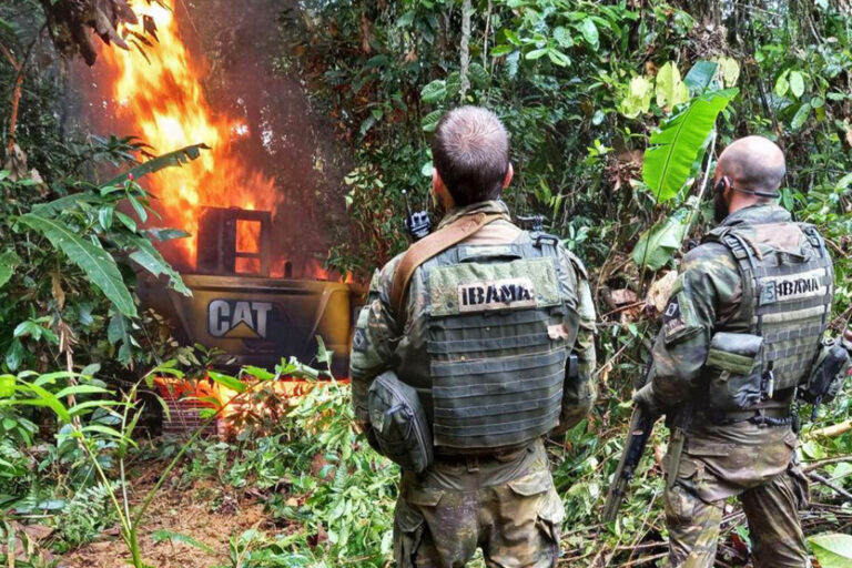 IBAMA officers watch a camp on fire.