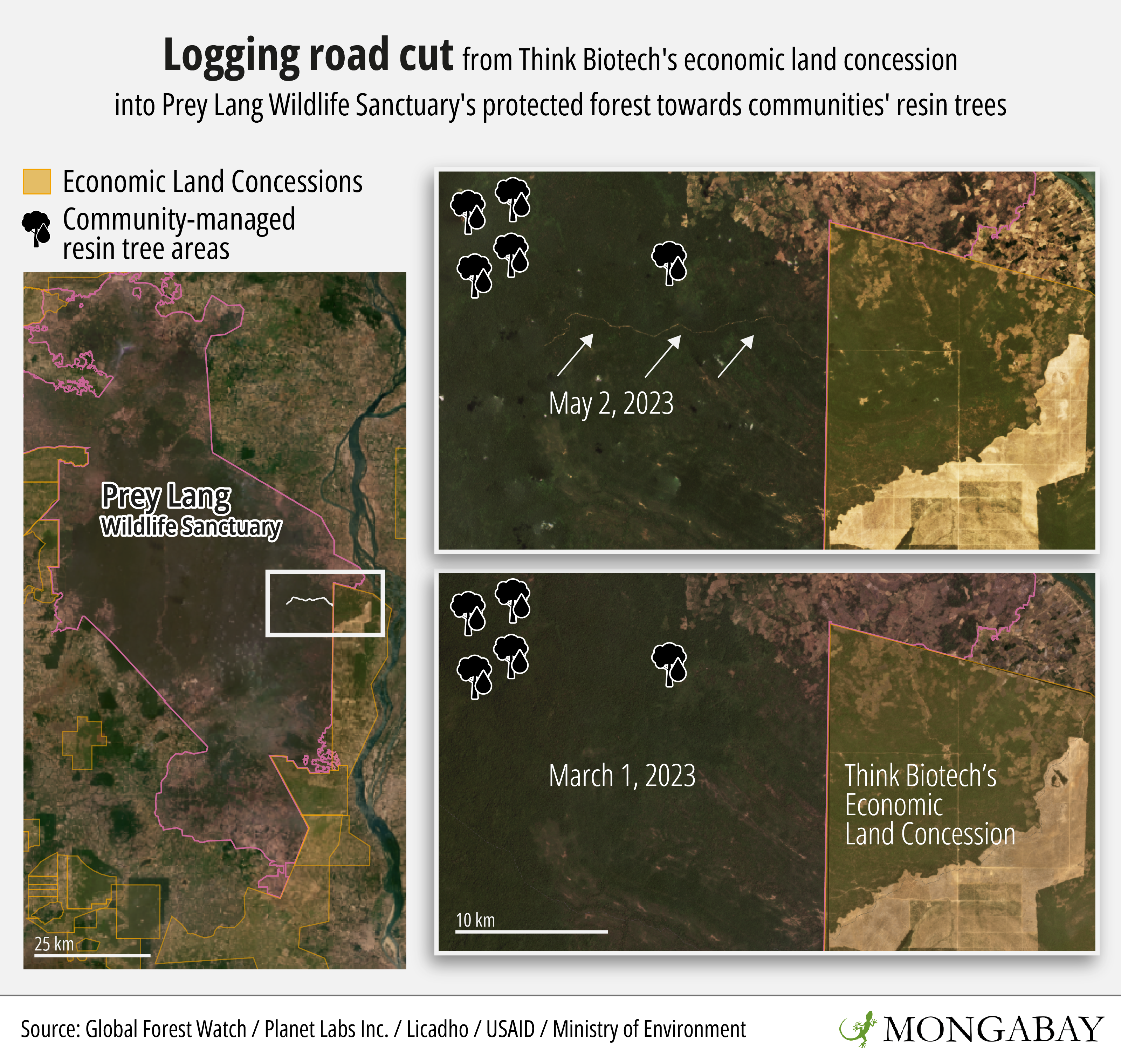 Satellite imagery provided by Planet Labs shows the development of a new road running from Think Biotech's concession in Cambodia's Stung Treng province into the protected Prey Lang Wildlife Sanctuary. Image by Andrés Alegría / Mongabay.