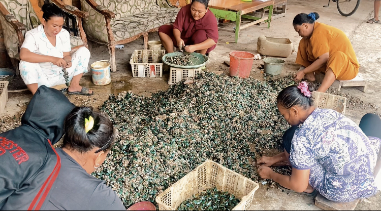 The women of Kalibaru, Cilincing, North Jakarta peel shellfish to meet their daily needs.